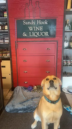 Store dog at Sandy Hook Wine and Liquor